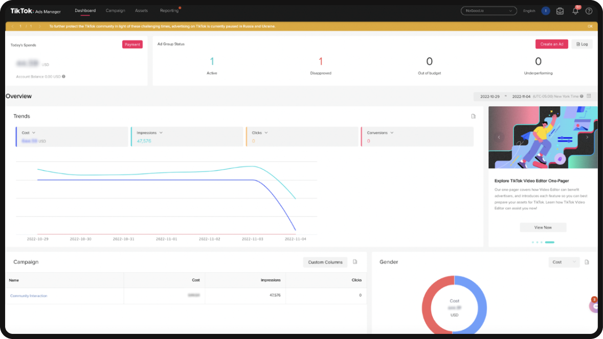 TikTok Ads Manager Dashboard