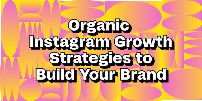 Organic Instagram Growth Strategies