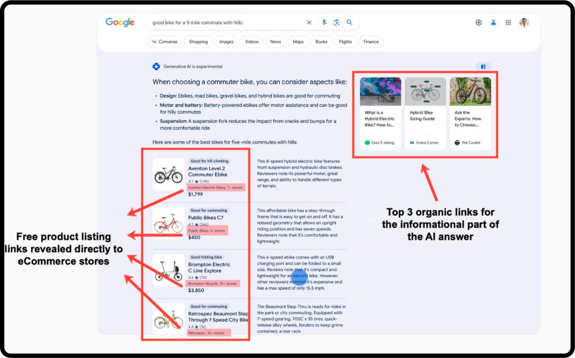 Google AI Overview product listings